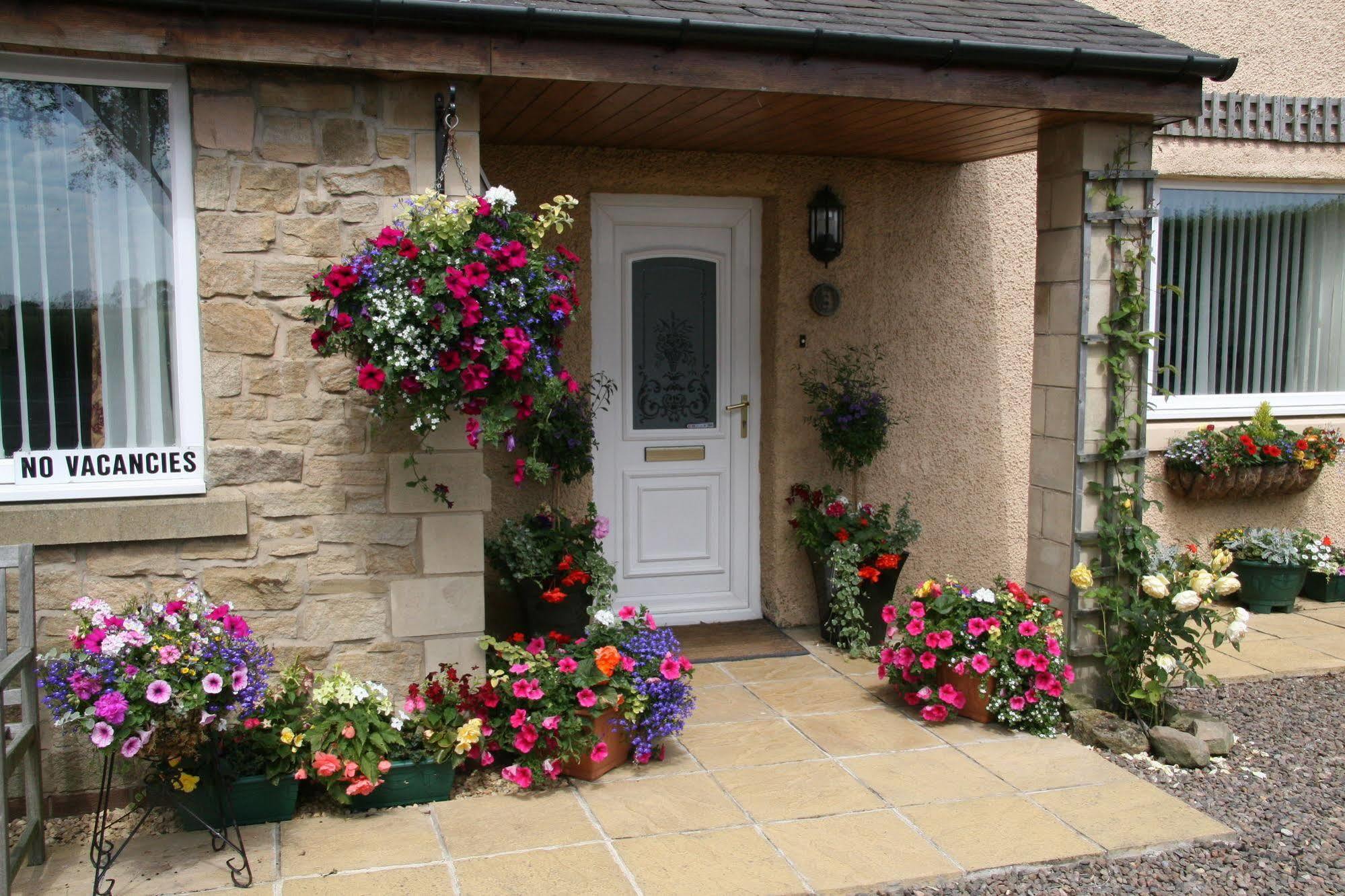 Northumberland Cottage B&B Acklington Eksteriør bilde
