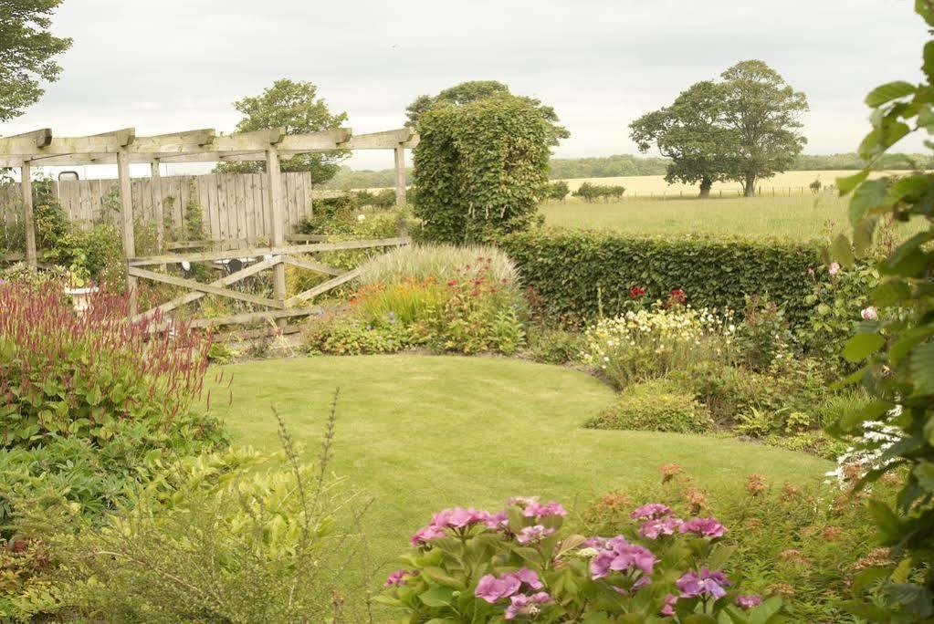 Northumberland Cottage B&B Acklington Eksteriør bilde